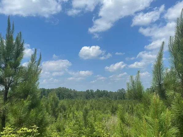 0 Simpson Rd, Camden, MS 39045