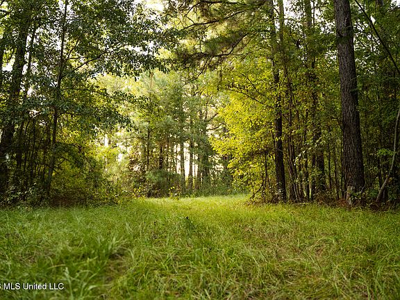 3rd image of County Road 717