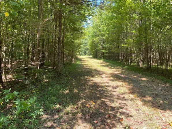 Oak Grove Ln, Henderson, TN 38340