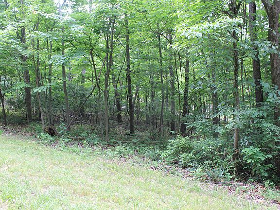 mature trees