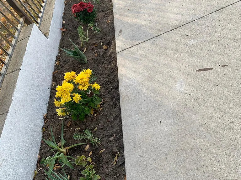 Mount Gleason Ave — Photo 25
