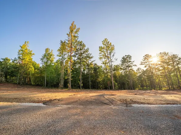 LOT 17 Cams Cov Old Hwy Lot 431-17, Wedowee, AL 36278