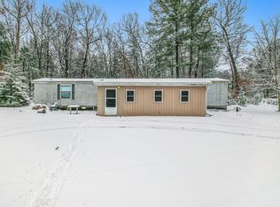 3546 N Bass Lake Rd, Pierson, MI 49339