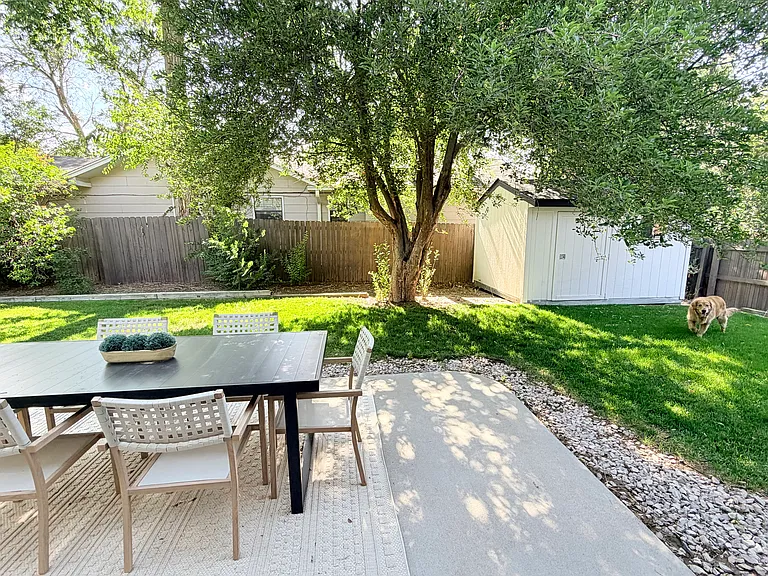 Backyard with mature trees, grass & landscaping, and storage shed - dog not included ;)