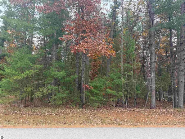 Hammond Dr, Atlanta, MI 49709