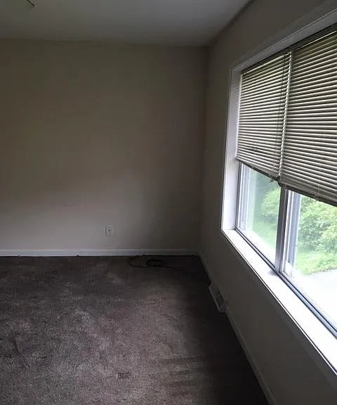 441 Spring St — Photo 9