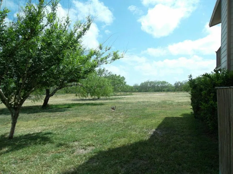 view coming out of front door
