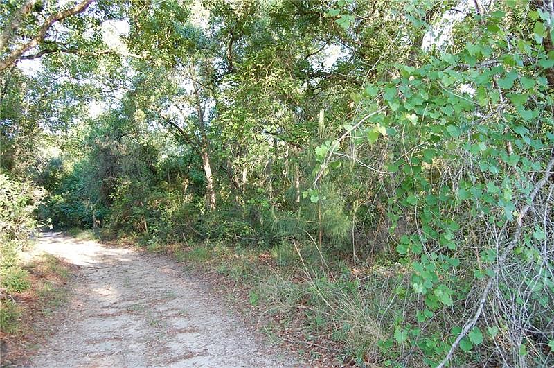 2nd image of Paradise Rd
