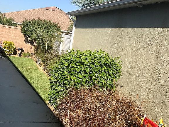 Side Backyard 