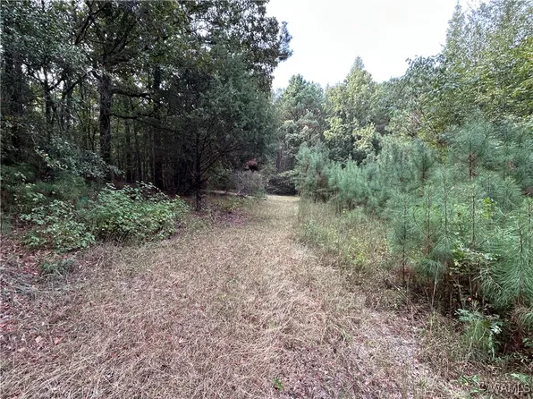 0 Tingle Tangle Rd, Vance, AL 35490