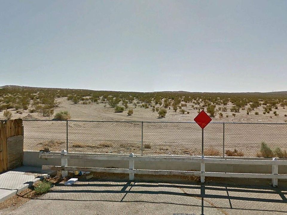1st image of Tortoise Rd