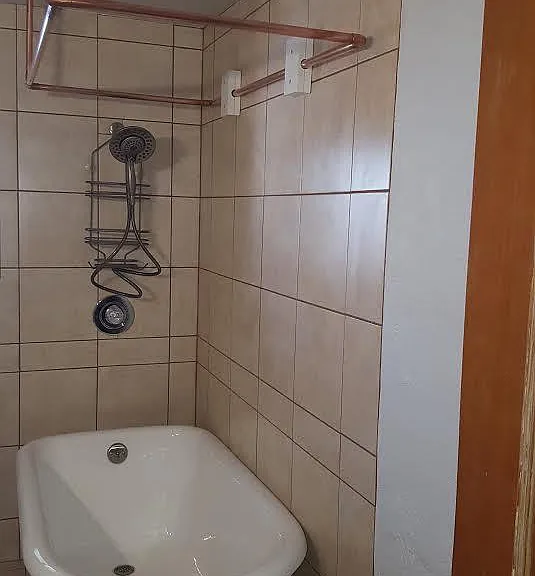 Shower bath