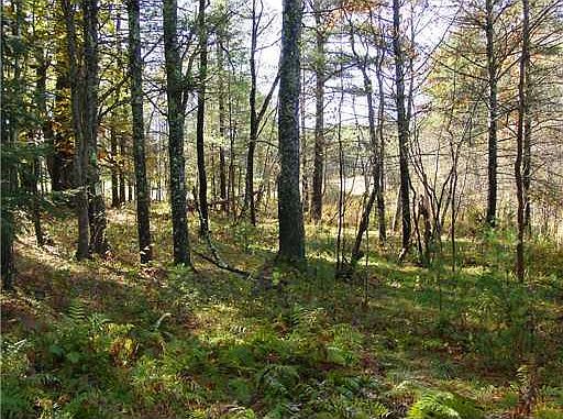 2nd image of 0 Broadturn Road