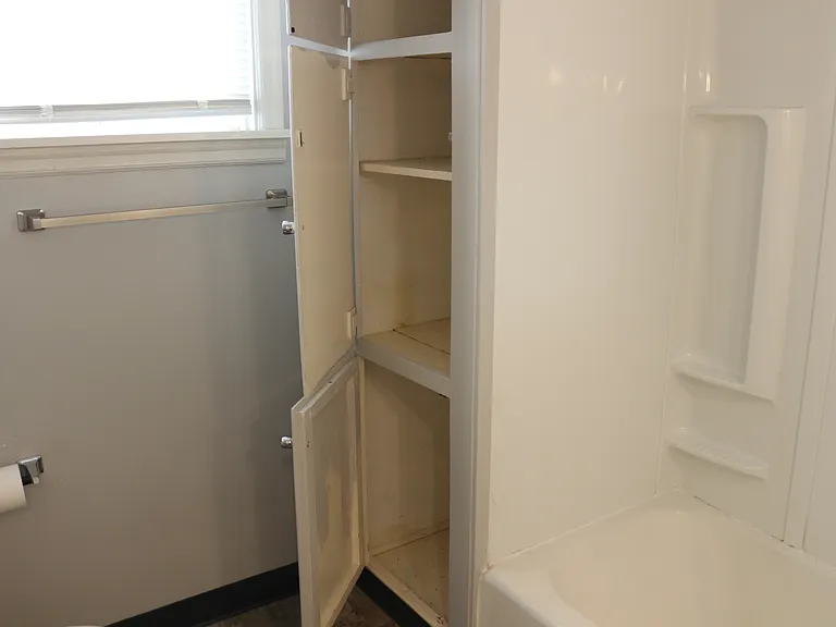 Bathroom storage