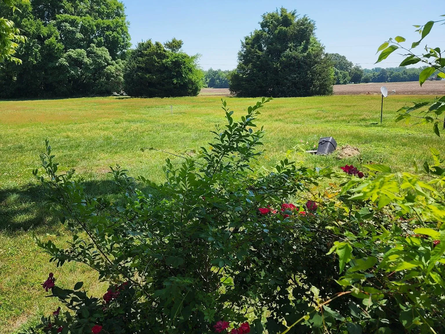 4 bed, 2.5 bath, 1975 sqft, $2,700 — Photo 4