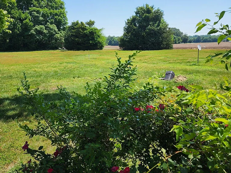 6626 Cold Harbor Rd — Photo 4