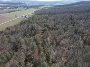 Buffalo St, Wayland, NY 14572