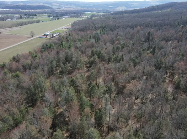 Buffalo St, Wayland, NY 14572