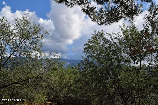 1st image of 16690 N Coronado Forest Dr