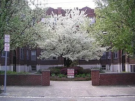 2 bed, 850 sqft, $1,425 — Photo 1