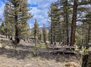 1787 Redhill Rd, Fairplay, CO 80440