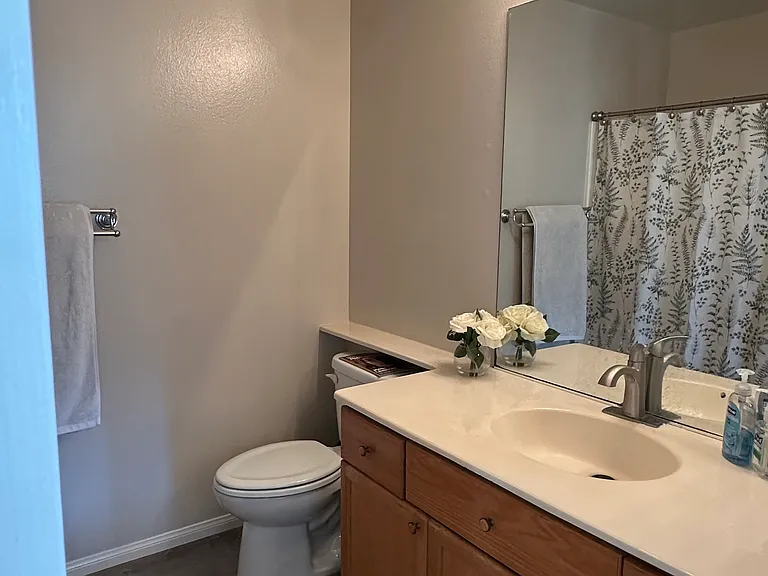 1323 Lost Point Ln — Photo 16
