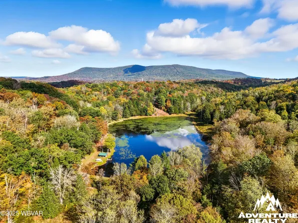 415 Owl Hill Rd, Hughesville, PA 17737