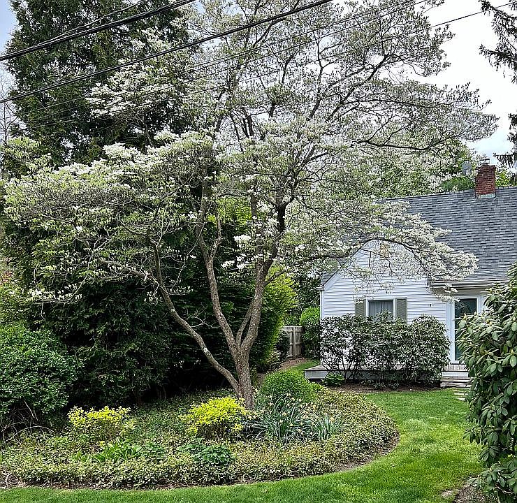 2nd image of 60 Lincoln Ave