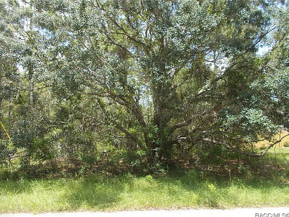 5th image of 3029 W Viking Ln
