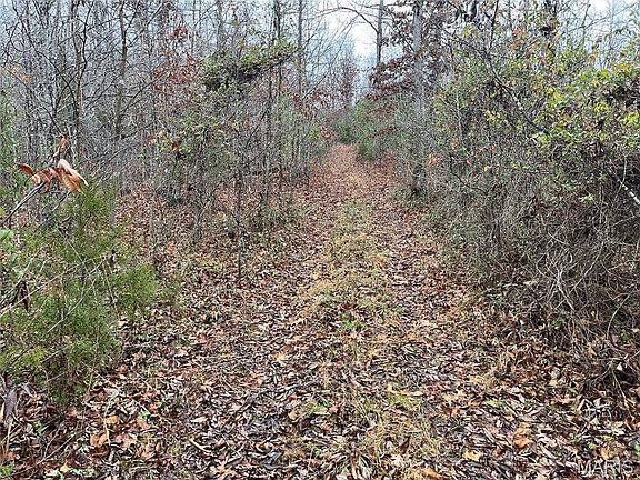 3rd image of Madison 244 County Rd #244