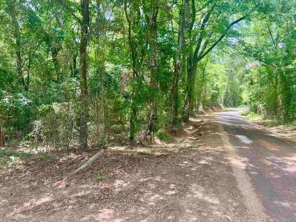 County Road 435 #D, Laneville, TX 75667