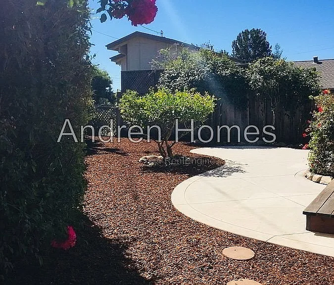501 Spruce St — Photo 21