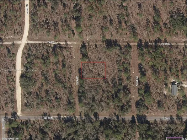 LOT 7 NE 156th Ct, Williston, FL 32696