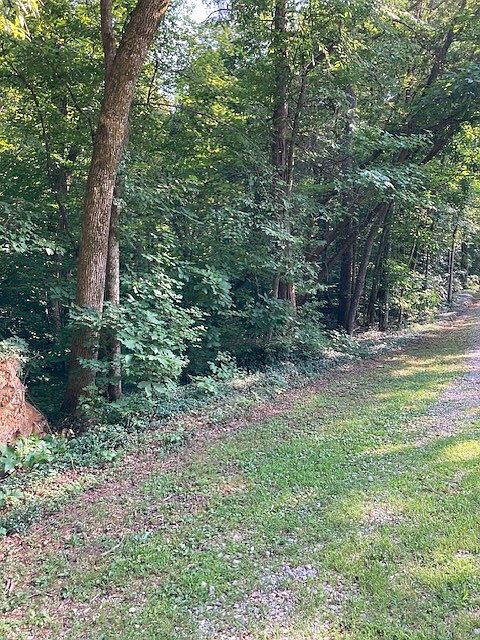 1st image of 550 Hill Orchard Cem Ln