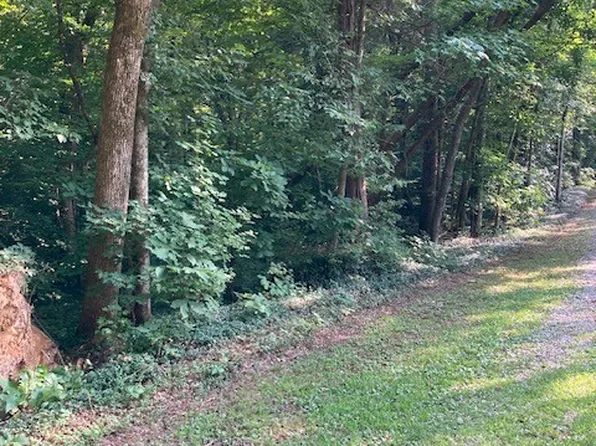 550 Hill Orchard Cem Ln, Stewart, TN 37175