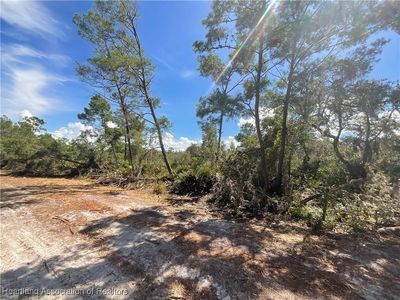 117 Eversole Ave, Lake Placid, FL, 33852