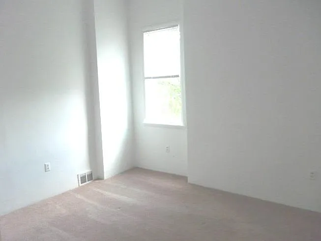 1719 Buena Vista St #1 — Photo 6