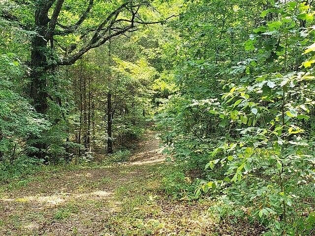 1st image of 169 County Road 188