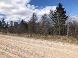 11 E Nine Mile Rd, Dafter, MI 49724