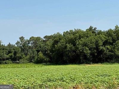 0 Gibbs Rd, Sumner, GA, 31789