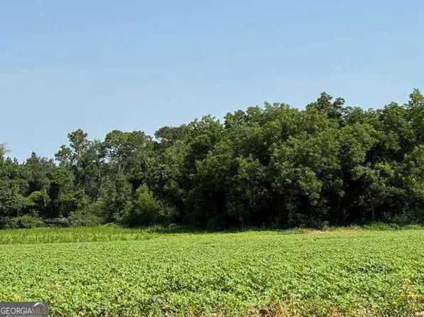 0 Gibbs Rd, Sumner, GA 31789