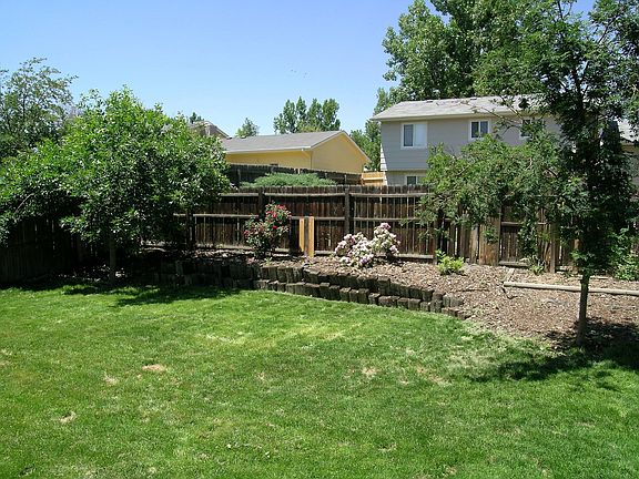 Large backyard