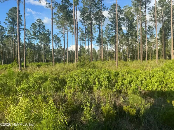TBD NW CO RD 235, Lake Butler, FL 32054