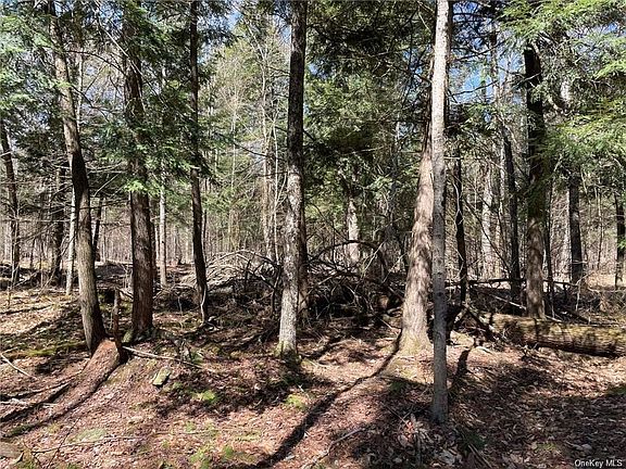 5th image of Big Woods Rd
