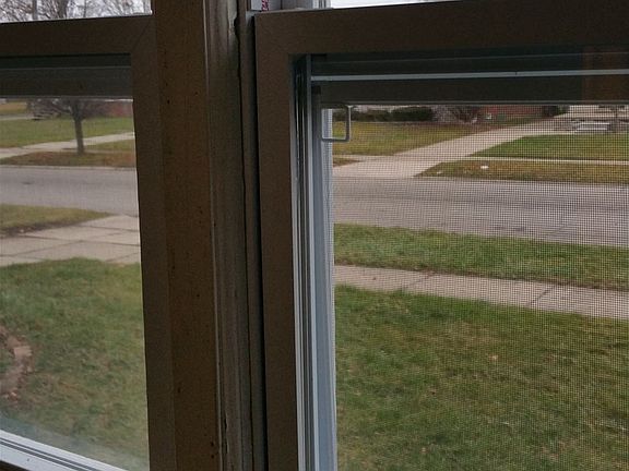 front view new windows