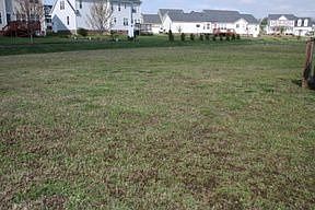 5th image of 82 Bear Oak Dr