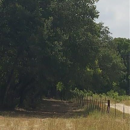 3rd image of 585 County Road 385