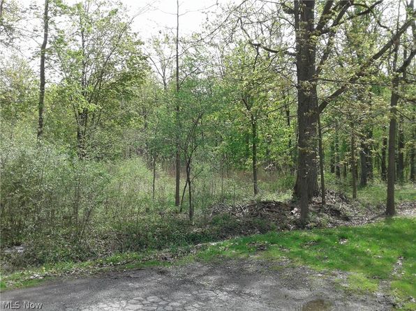 Kenilworth Ave, Sheffield Lake, OH 44054