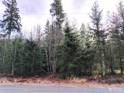 2 Deer Park Lane, Packwood, WA, 98361
