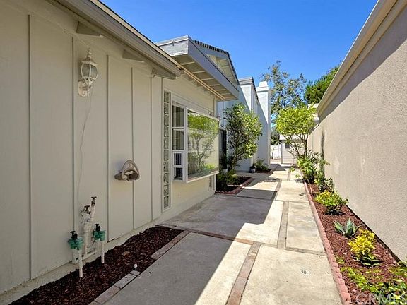 Lemon trees at the entryway